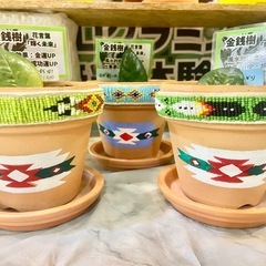 🪴【金運UP・輝く未来✨】一点物！ネイティブデザインの金銭樹（ザミオクルカス）🌿の画像