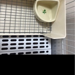 うさぎ　　ケージ　セットの画像