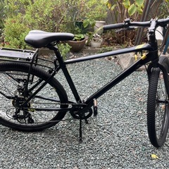 マウンテンバイク(LOG.ADVENTURE)の画像