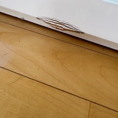 決まりましたの画像