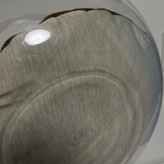 猫用金魚鉢の画像