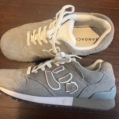 Sangacio サンガッチョ にゅ~ず の画像