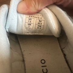 Sangacio サンガッチョ にゅ~ず の画像