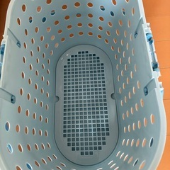 猫や子犬用のキャリーケースの画像