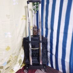 新品・未使用　台車付き保冷・保温バッグの画像