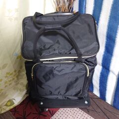 新品・未使用　台車付き保冷・保温バッグの画像