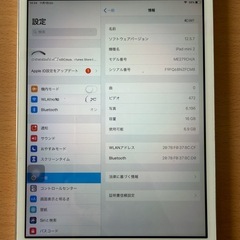 iPad mini2 16GBの画像