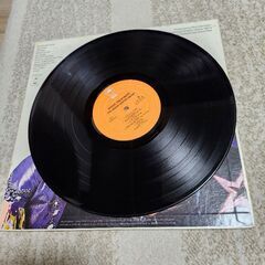 エドガー・ウィンター・グループ  LPレコードの画像