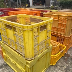 コンテナ　全て引き取り限定の画像