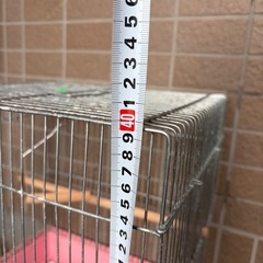 鳥かご　ケージ①の画像