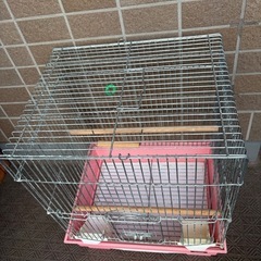 鳥かご　ケージ①の画像