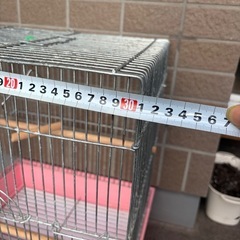 鳥かご　ケージ①の画像
