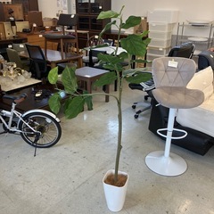 A2511-008 人工観葉植物 大型 フェイクグリーン インテリア 鉢植え ディスプレイ 中古美品の画像