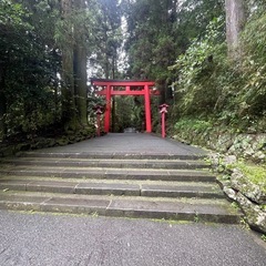 霊視タロット占い師 霊媒師しております(*^^*)