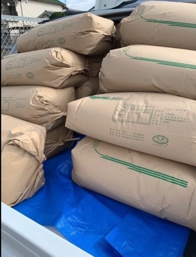 【令和7年度産】新米　堺市産　にこまる玄米30kg