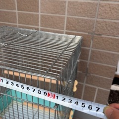 鳥かご　ケージ②の画像