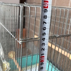 鳥かご　ケージ②の画像