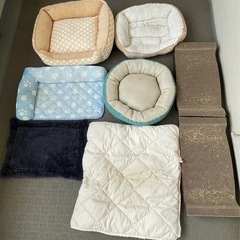 猫用品いろいろの画像