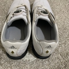 adidas ゴルフシューズの画像