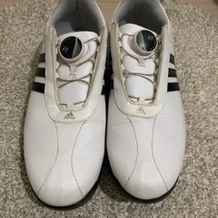 adidas ゴルフシューズの画像