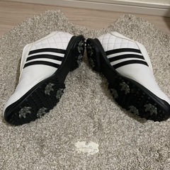 adidas ゴルフシューズの画像