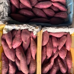 【農家直送🍠兵庫県産】紅はるか 5kgの画像