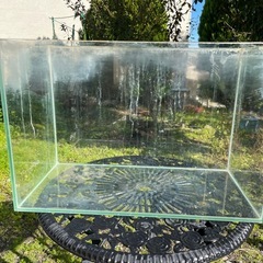 テトラ　ガラス水槽　60の画像