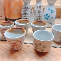 電気酒かん器　徳利＆お猪口　セットの画像