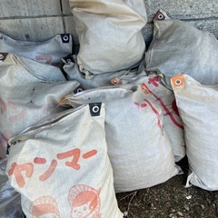 焚き付け用　小枝　落ち葉の画像