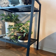 IKEA オープンシェルフの画像