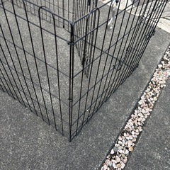 犬用ケージ②の画像