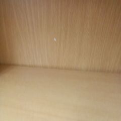 ★リユースのサカイつくば店★TK7110  収納棚 ナチュラル H90×D19×W60 クリーニング済みの画像