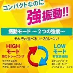 【美品】ダブルワンダーウェーブミニ  ブルブルマシーンの画像