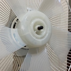 扇風機　お譲りします。の画像