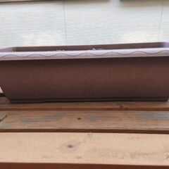 プランターの画像