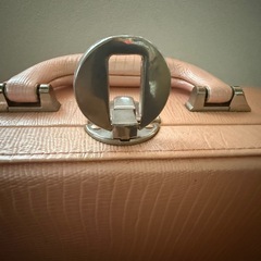 Reine sonic 超音波 イオン導入 レインソニック 美顔器の画像