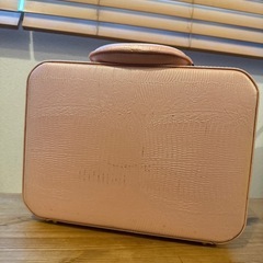 Reine sonic 超音波 イオン導入 レインソニック 美顔器の画像