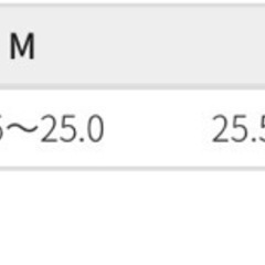 サイドゴアブーツの画像