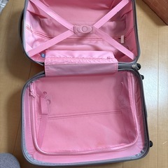 11/3まで★キャリーバック　難ありの画像