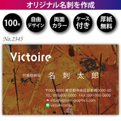 名刺印刷 100枚 両面 フルカラー 紙ケース付 No.2…