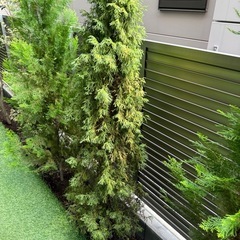 6 株　0円の画像