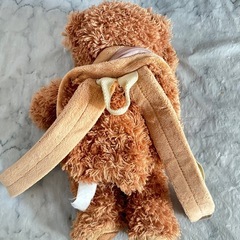 ベアーのリュックの画像