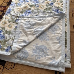 毛布　綿毛布　シングル の画像