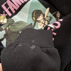 トレーナーの画像