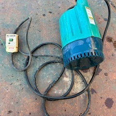 水中ポンディの画像