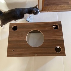 キャットボックス　キャットハウス　猫箱の画像