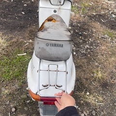 オートバイ 動かないの画像