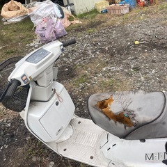 オートバイ 動かないの画像