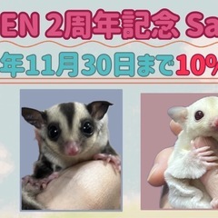フクロモモンガ OPEN 2周年 記念SALE