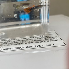 グッピー♂♀セット妊婦さん赤ちゃんさんびき3匹の画像